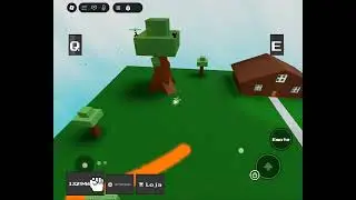 Player Report (grindalt_XVII)