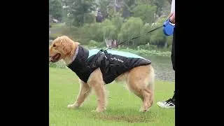 New autumn and winter pet clothing, manufacturer, supplier, factory, wholesale #petclothes  #factory