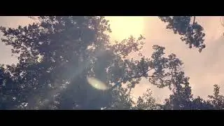 Heimito v. Doderer: ›Der trübe Weiher‹