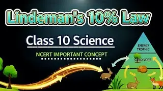 Ecosystem| lindeman 10 percent law| science #viral #trending #education#ncert 