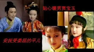 贴心暖男贾宝玉