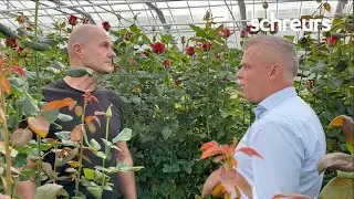 Rose novelties 2021 - Schreurs