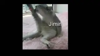 When you check out your sexy neighbor || Namjin in as cat