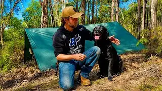 🐕 Camping with My Labrador & Cooking Deer on the Campfire