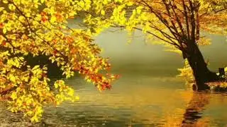 Cynthia Jordan - Autumn Equinox