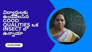 Discipline Unity reach the aim future plan ఈ లక్షణాలన్నీ ant లో ఉన్నాయి