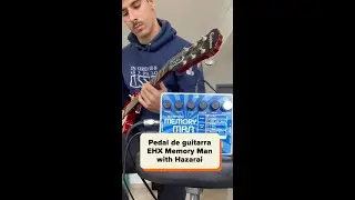 Demo BATS - Electro-Harmonix Stereo Memory Man with Hazarai #shorts