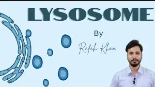 Lysosome | Lysosome Structure and Function | 9th Class New Book Chapter 3 | @BioBrain_by_rafahkhan