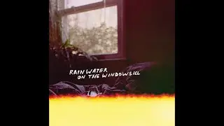Orchid Mantis - Rainwater on the Windowsill