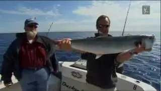 Pesca extrema com Robson Green  The World Tour FLORIDA HD