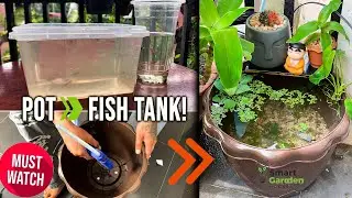 From Flower Pot to Fish Tank: Genius DIY Garden Upgrade!
