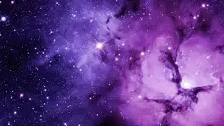 Purple Passion -  Diana Boncheva