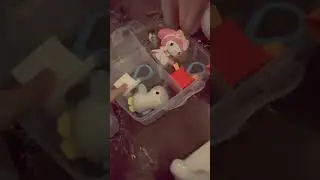 My mini zoo