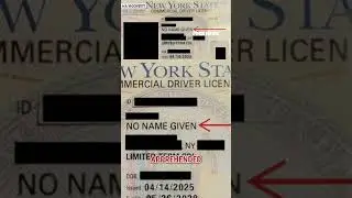 Illegal migrant apprehended with SHOCKING words on NY driver's license
