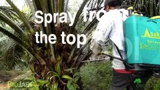 How to Spray BioJadi using a Backpack Sprayer
