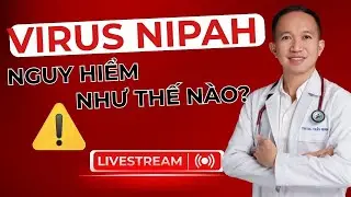 VIRUS NIPAH NGUY HIỂM NHƯ THẾ NÀO