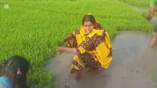 আজ পারিনা বলে কথা শুনতে হলো 