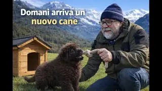 Domani arriva un nuovo cane