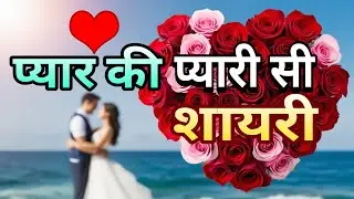 Pyar ki pyari Shayari | Best shayri for love | 2 line Shayari Love | #lovestatus #loveshayari