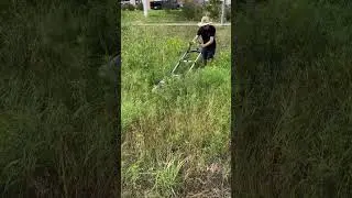 WAIST HIGH Grass VS ELECTRIC Push Mower
