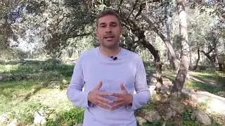 Gerard Fullana anuncia su candidatura a las primarias de Comprom&iacute;s por Alicante