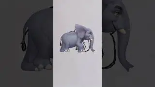 Drawing for An Elephant | Easy An Elephant Drawing #shorts @ParadiseHome.