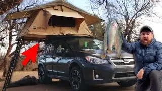 Catch, Cook, & Camp for Hungry Trout! (3 Ponds)