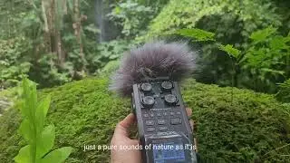 Behind the Scenes &ndash; Recording Real Nature Sounds | Cozy Ambience