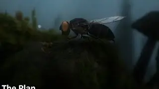 The Plan Прохождение