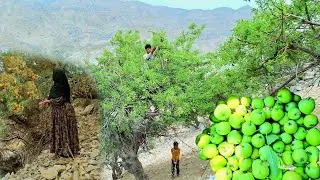 🏕Nomadic Life: Adventure in the Mountains | Picking Wild Apples and Almonds from Trees 🌳🍎