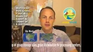 Buy Bulk Wheat for Import, Wheat Importer, Wheat Imports, Wheat Importing, Wheat Importers