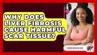 Why Does Liver Fibrosis Cause Harmful Scar Tissue? - Liver Health Hub