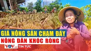 Giá nông sản chạm đáy, nông dân khắp nơi rơi vào tình trạng thua lỗ