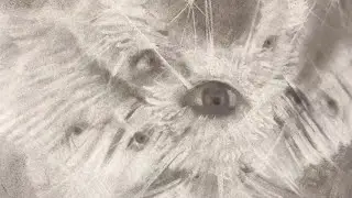 Small Masc Butt subliminal {calm version}