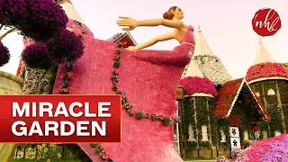 Miracle Garden Dubai 2019 - 2020 | Worlds Largest Garden | Season 8