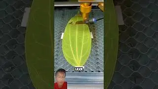 Лазерное искусство на листе 🌿✨#шорты
