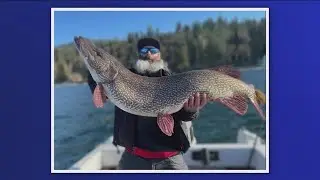 Angler hooks state-record northern pike on Hayden Lake