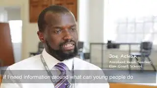 Lambeth's SEND Local Offer, professionals' views