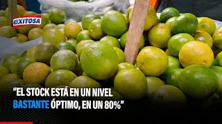 🔴🔵Midagri sobre abastecimiento de Lim&oacute;n: &ldquo;El stock est&aacute; en un nivel bastante &oacute;ptimo, en un 80%&rdquo;