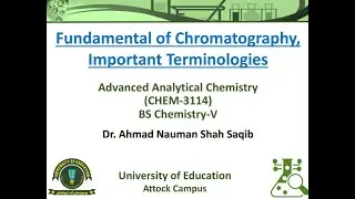 Overview of Column Efficiency, Column Selectivity, and Theoretical Plates in Chromatography