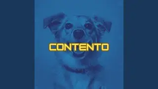 Contento
