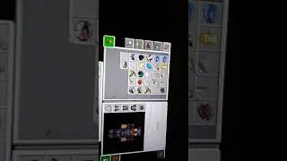 my newest smp be like