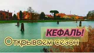 Сезон кефали открыт!