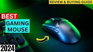 Top 5 Best Gaming Mouse in 2024 (The 5 You Should Consider Today!) | SteelSeries, Razer, Logitech