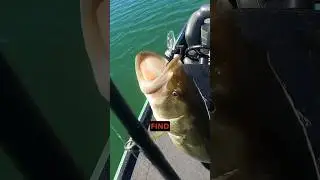 4 Mistakes July Bass Fishing during Summer #outdoors