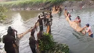Fish hunt 