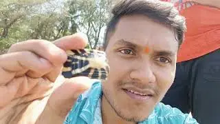 Dadar Chaupati mumbai vlog |  seashell | Mumbai sea vlog | realriki khandeshi vlog
