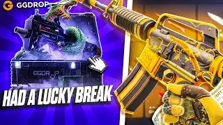 ALL SKINS ARE IN THIS CASE?!!