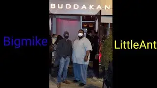 BigMike.LittleAnt back to Buddakan