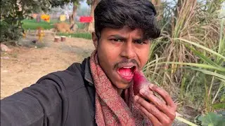 Natural Lipstick 💄😂Vlog215/@manishvlogs1912 